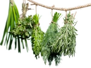 Rośliny lecznicze dla układu moczowego