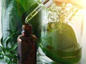 Botanika w erze cyfrowej