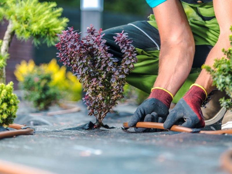 Jak nawadniać rośliny podczas urlopu?