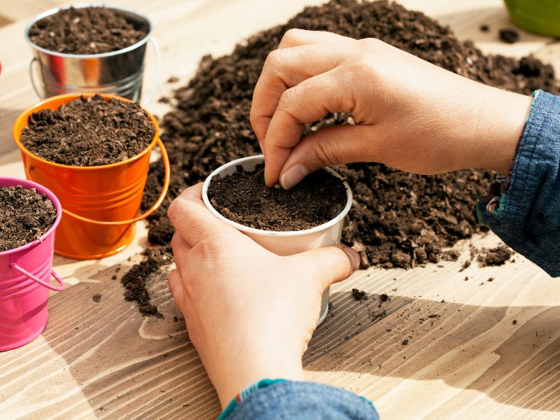 Jak prawidłowo przechowywać nasiona?